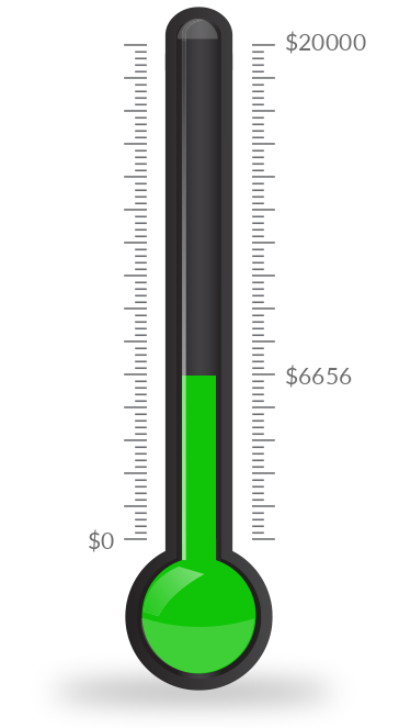 MAGSR's Tammy Shiprak Memorial 50/50 Raffle