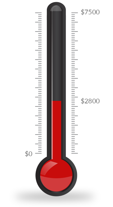 Fundraising ideas for schools, churches, and youth sports teams